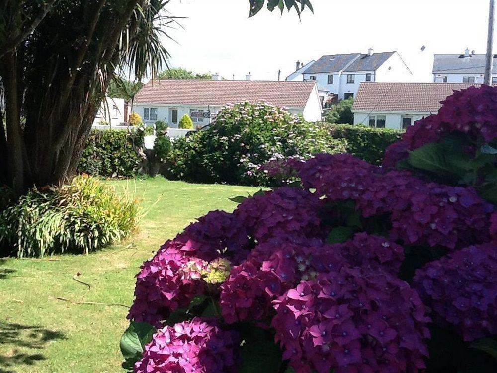 The Old Cable Historic House & Seafood Restaurant Guest house 3*