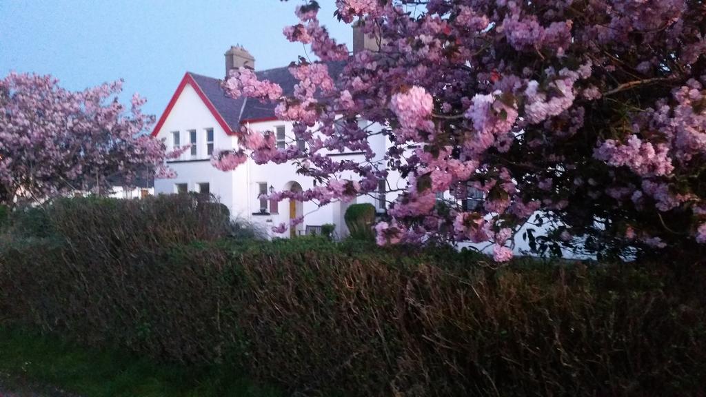 Guest house The Old Cable Historic House & Seafood Restaurant